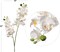 12-Pack: White Phalaenopsis Orchid Spray with 16 Silk Flowers, Floral Home by Artificial Flowers